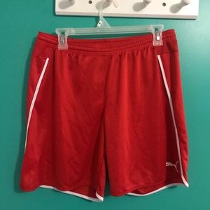 Puma athletic shorts